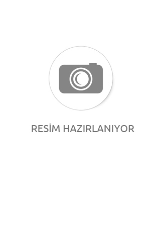 arac kamera sistemi